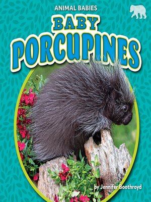 cover image of Baby Porcupines